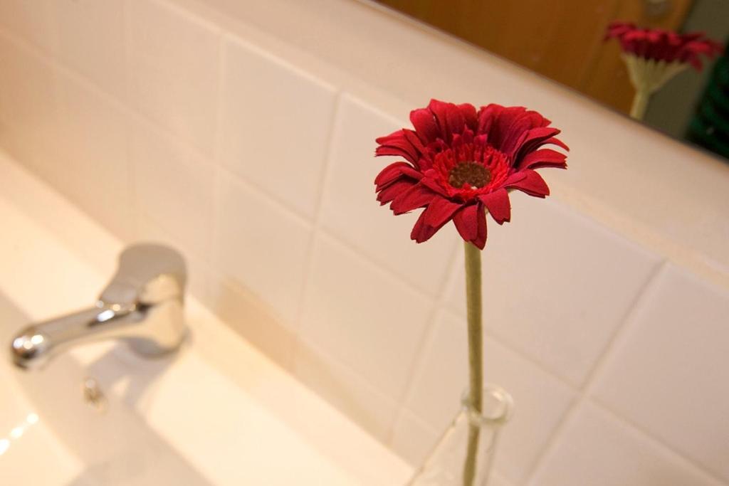 Apartaments Rural Montseny Gualba de Dalt Екстер'єр фото