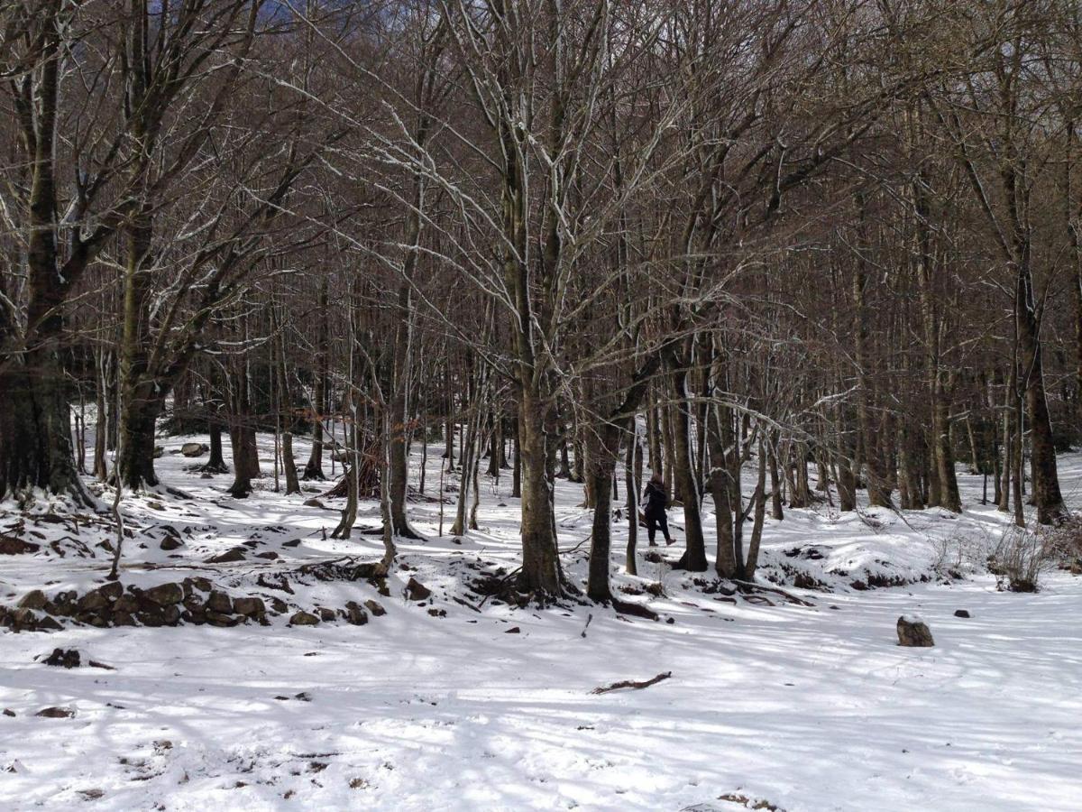 Apartaments Rural Montseny Gualba de Dalt Екстер'єр фото