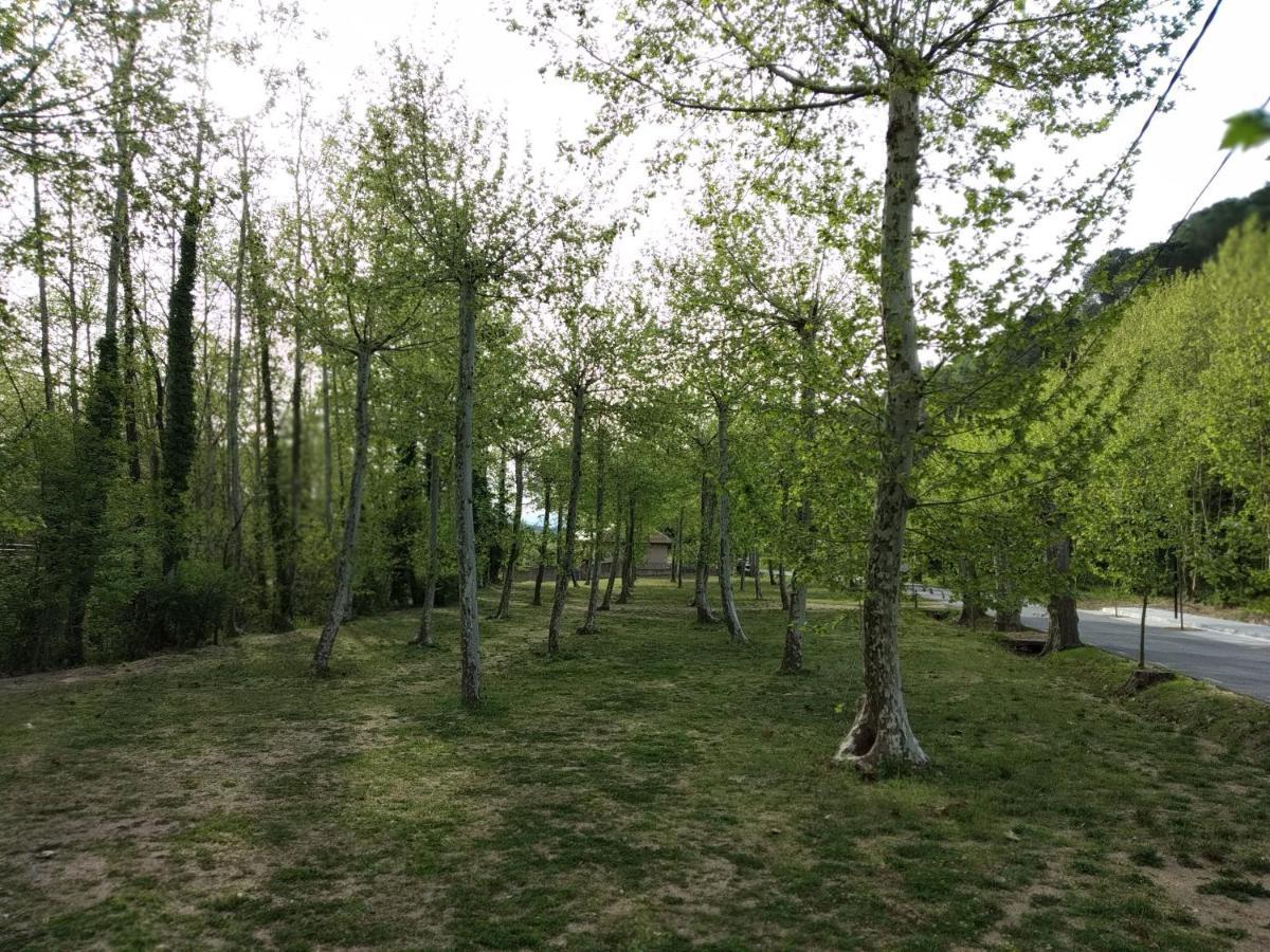 Apartaments Rural Montseny Gualba de Dalt Екстер'єр фото